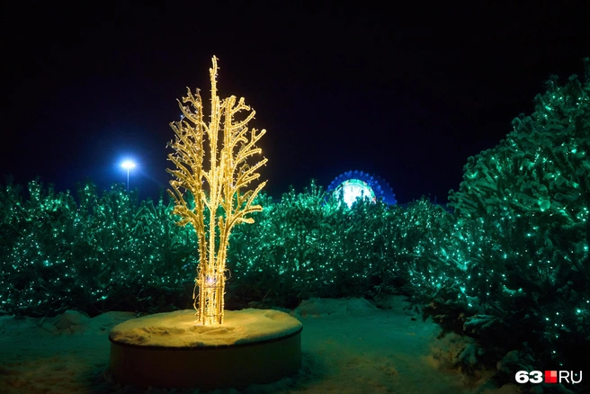 Как вам такое дерево? | Источник: Роман Данилкин / 63.RU