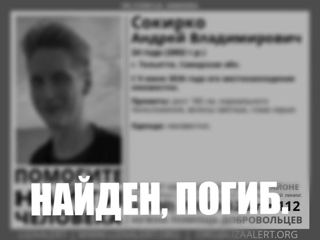 Новость стала шоком для горожан | Источник: «Поисковый отряд „ЛизаАлерт“ Самарской области» / vk.com