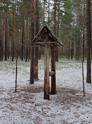 Источник: Варвара Сузько