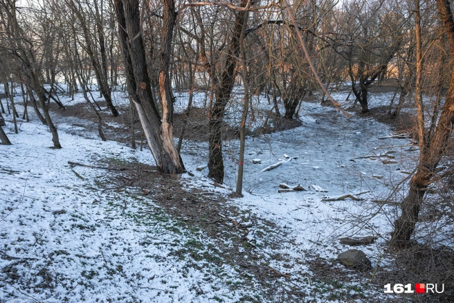 Из рощи тоже ушла вода | Источник: Евгений Вдовин / 161.RU