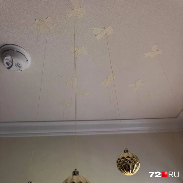 Источник: Читатель 72.RU