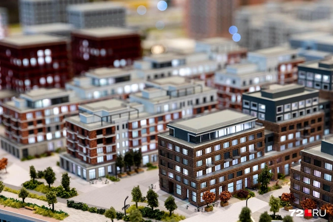 Источник: Ирина Шарова / 72.RU