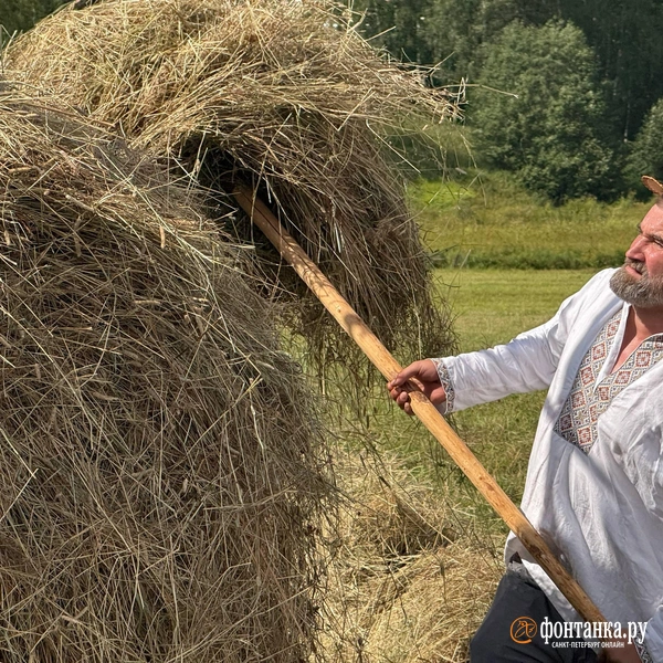 Источник: Милена Солдатенко / Фонтанка.ру