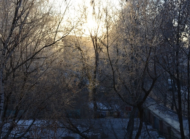 В Рязанской области похолодает до -20 °С | ya62.ru
