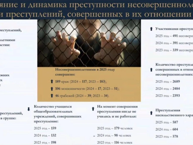 Омбудсмен Петербурга поддержала запрет соцсетей для детей | Источник: Скриншот трансляции заседания Смольного