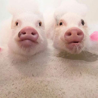 Аватарка бабкасоветчица