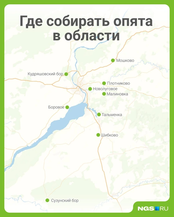 Источник: Юрий Орлов / Городские медиа
