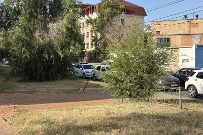 В Оренбуржье на последней неделе лета похолодает до +7