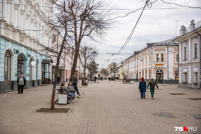 В Центральной России пик похолодания придется на День Победы | Источник: Кирилл Поверинов / 76.RU