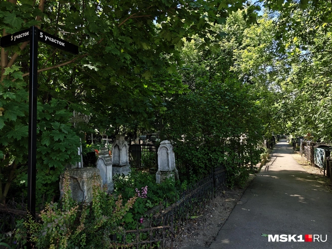 Насладитесь тишиной на местном кладбище | Источник: Анастасия Харитонова / MSK1.RU