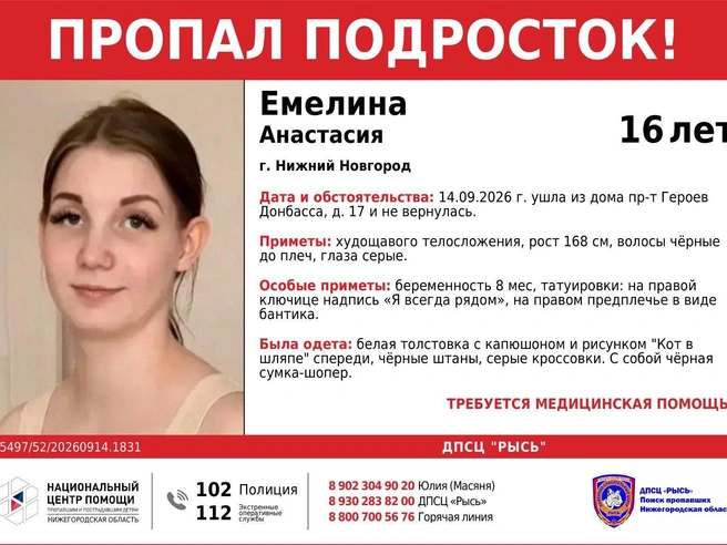 Источник: dpsc.nn52 / vk.ru