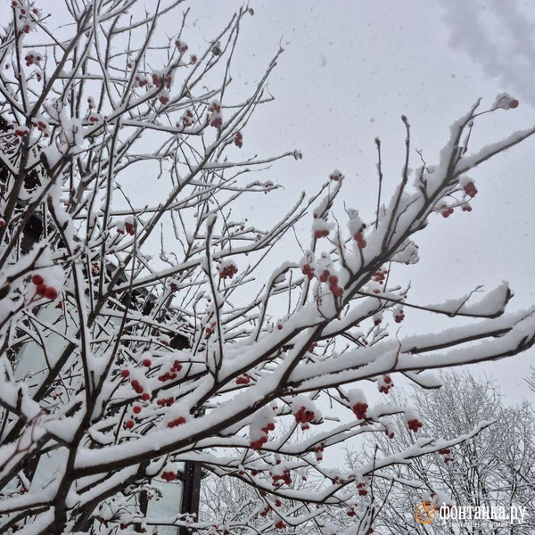 Источник: FONTANKA.RU