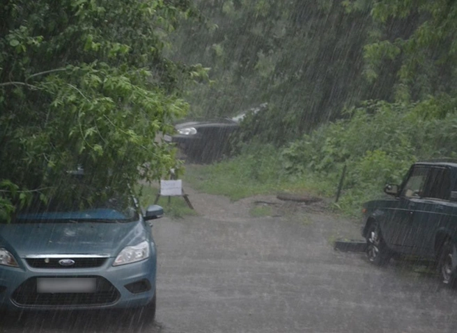 В Рязанской области объявлено штормовое предупреждение | ya62.ru