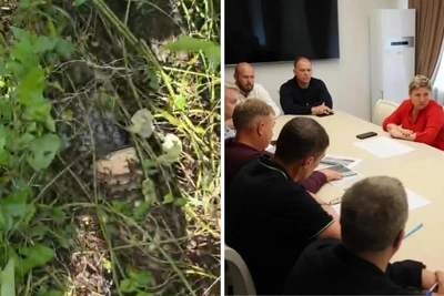 Жители Сергиева Посада жалуются на запах канализации