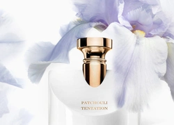 Аромат дня: Splendida Patchouli Tentation от Bvlgari