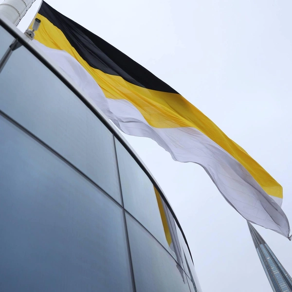 Источник: Сергей Михайличенко / «Фонтанка.ру»