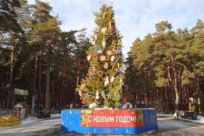 Чем запомнилась третья неделя декабря в Ульяновске