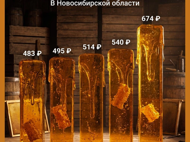 Мед постоянно растет в цене | Источник: Семен Казьмин / Городские порталы