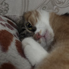 userpic__Арина Сотникова