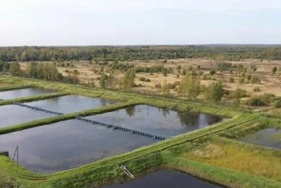 Рыбное хозяйство в Башкирии продают за 95 миллионов