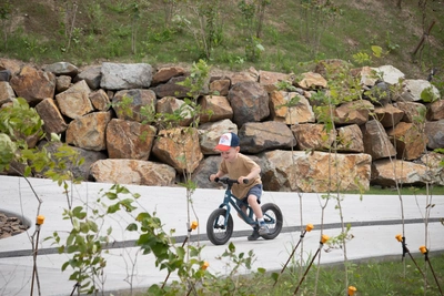 Владивостокцы выберут три сквера для обновления