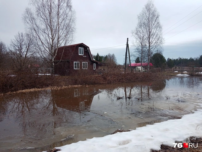 Участки оказались под водой | Источник: читатель 76.RU