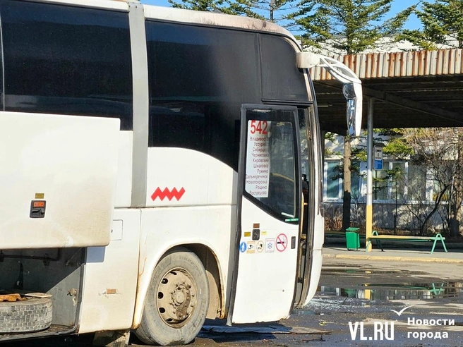 Источник: Vl.ru