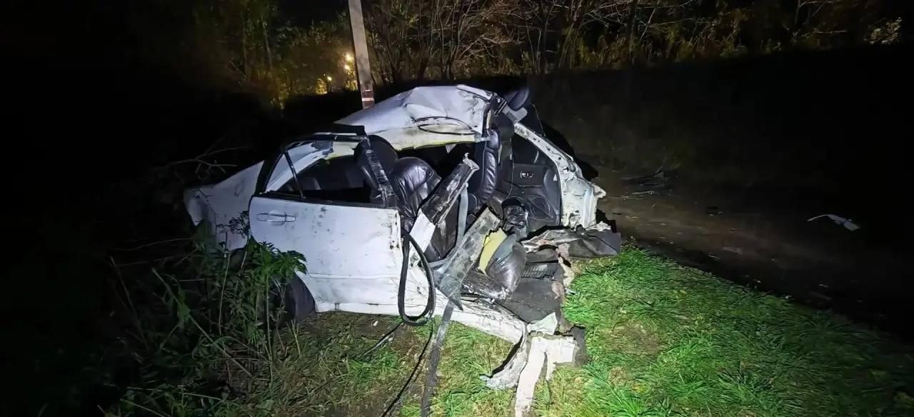 Автомобиль Toyota Altezza разорвало на две части после удара о дерево в Артёме