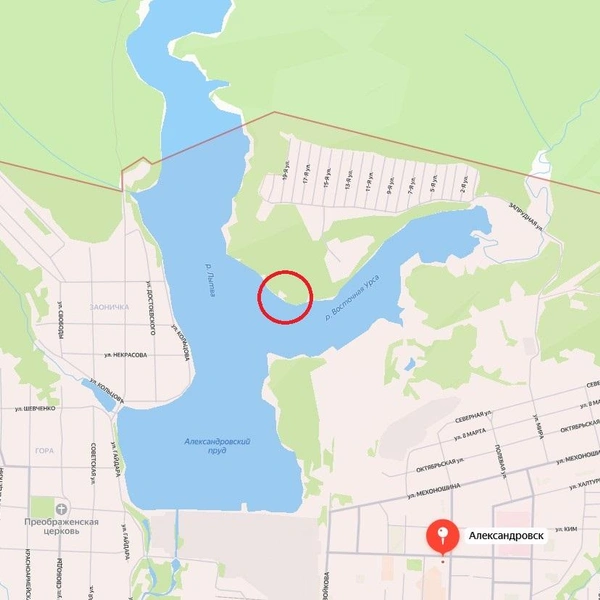 Красным кругом отмечено место, где купался Сергей | Источник: yandex / maps
