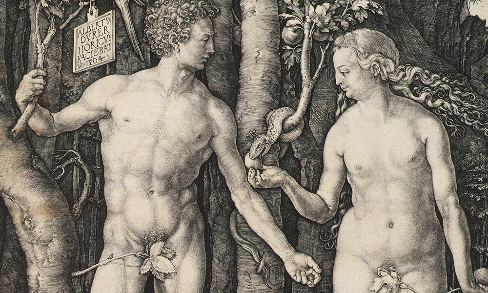 Выставка «Альбрехт Дюрер. Шедевры Гравюры» в Москве | mcmaison.ru