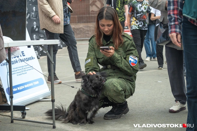 Источник: Елена Буйвол / VLADIVOSTOK1.RU