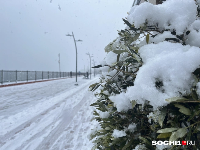 Запомним до следующей зимы  | Источник: Анна Грицевич / SOCHI1.RU