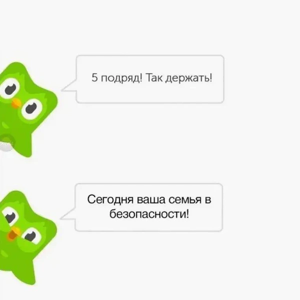 Лучшие мемы про маниакальную сову Duolingo