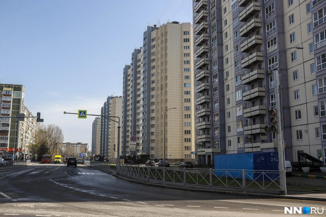 ТПУ будет состоять из разворотных площадок и автобусной остановки | Источник: Наталья Бурухина / NN.RU