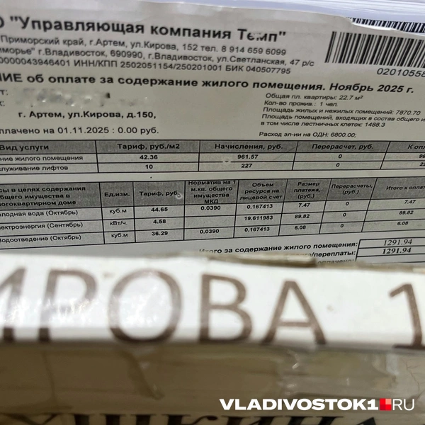 Источник: Елена Буйвол / VLADIVOSTOK1.RU