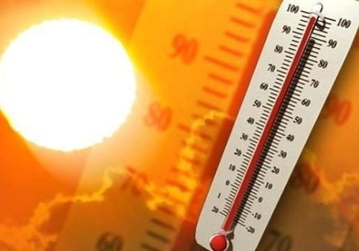 В Сасовском районе объявлен 5 класс пожарной опасности | ya62.ru