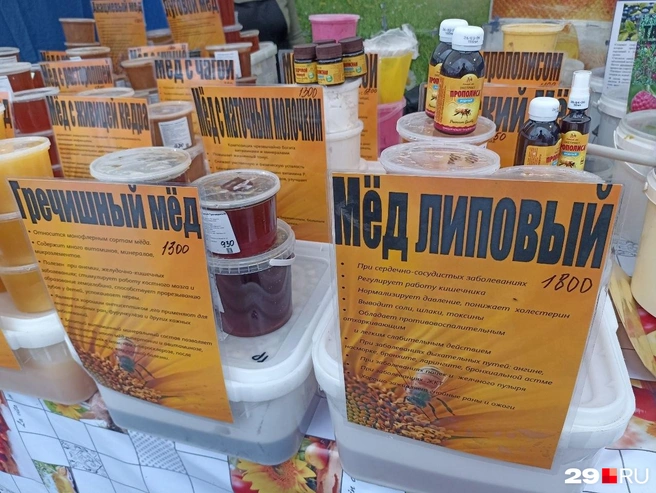 Источник: Иван Митюшёв / 29.RU