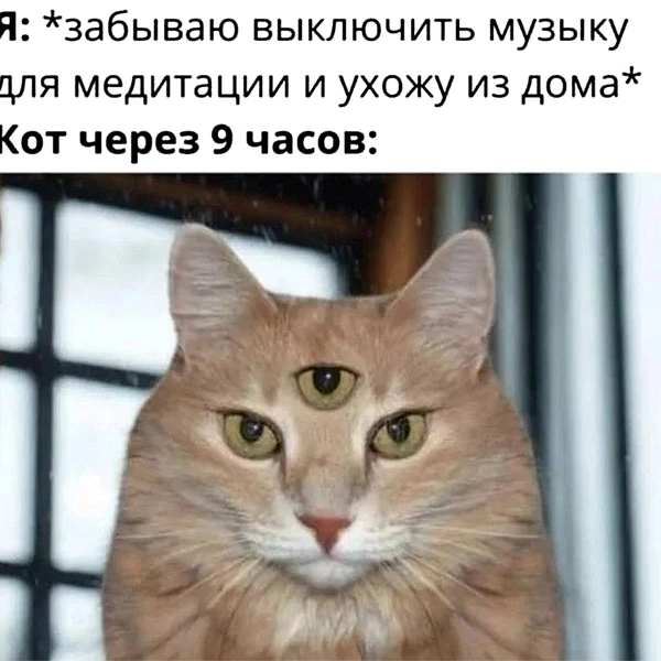 Источник: соцсети