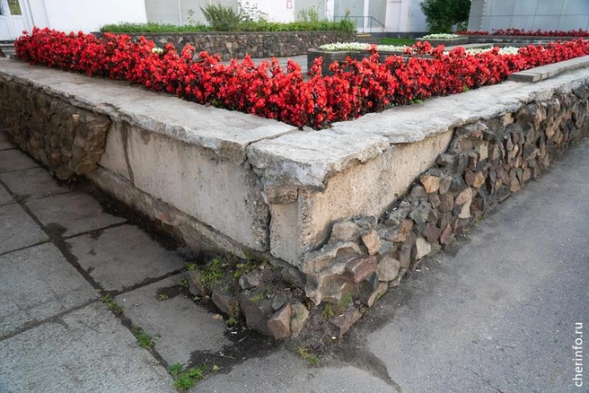 Источник: st.cherinfo.ru