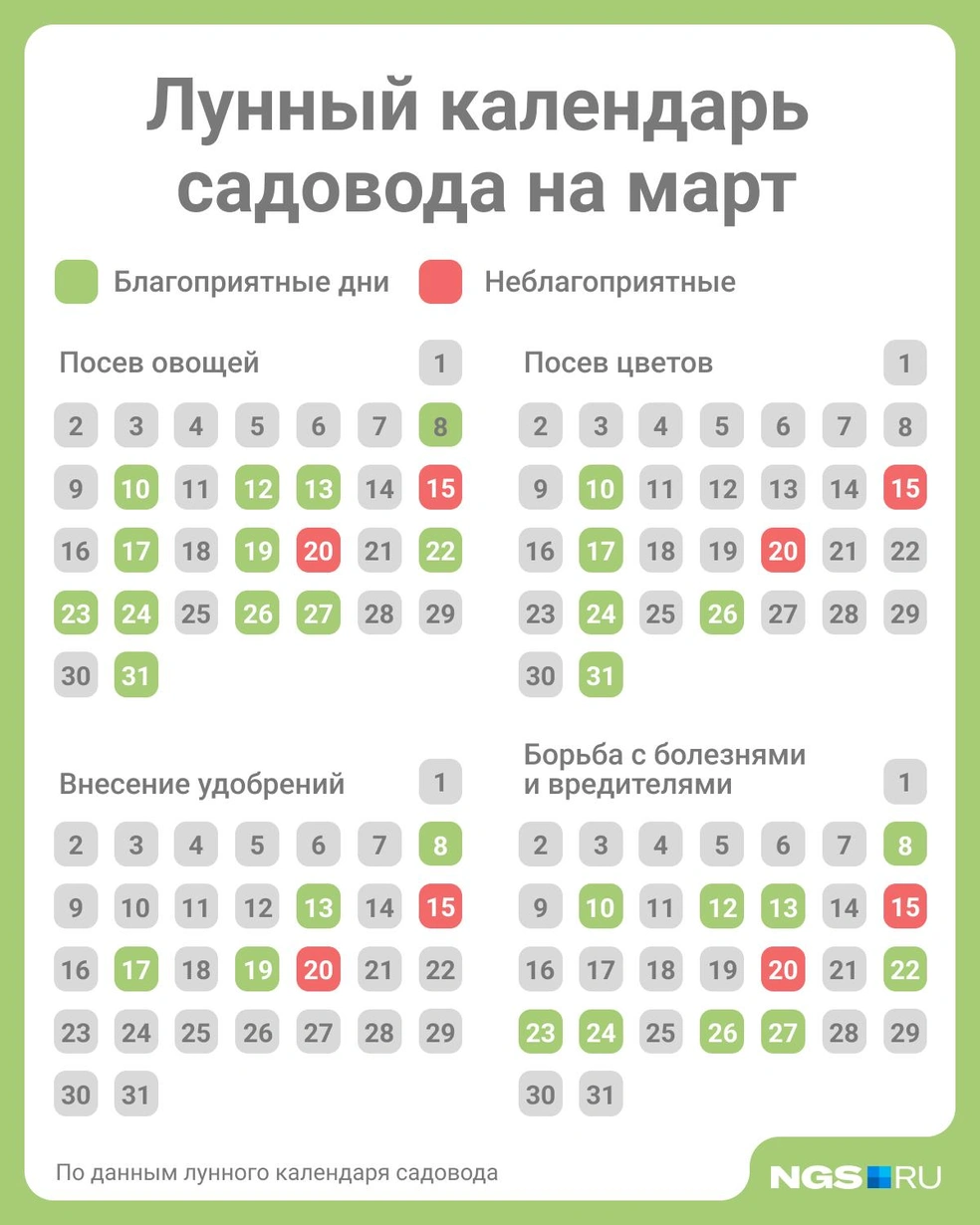 Источник: Юрий Орлов / Городские медиа