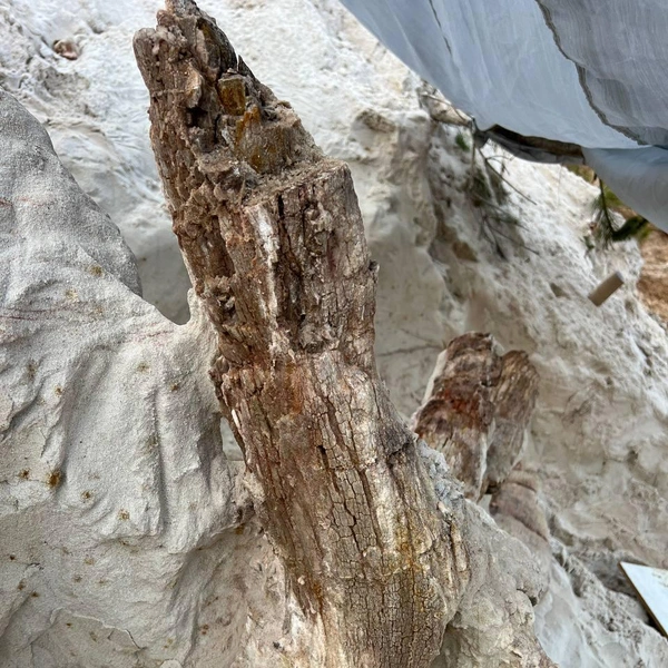 Источник: Григорьев Д. В.