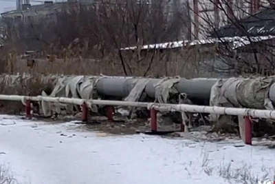 Stray Dogs Attack Man in Volgograd