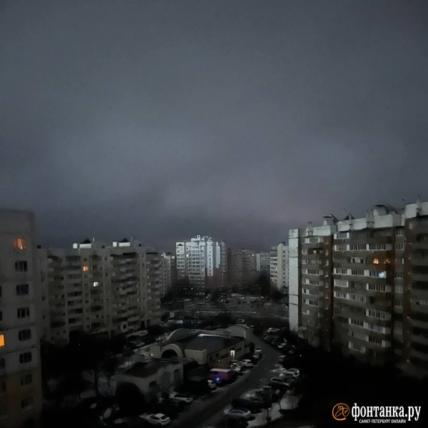 Источник: Кира Зубкова / «Фонтанка.ру»