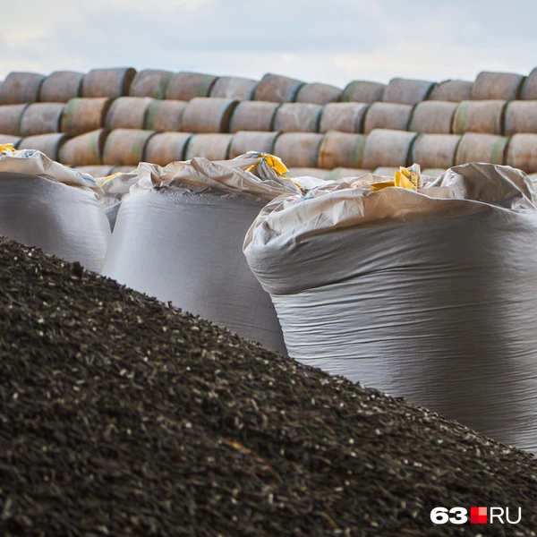 Источник: Роман Данилкин / 63.RU