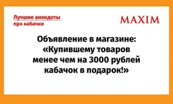 Самые смешные анекдоты про кабачки
