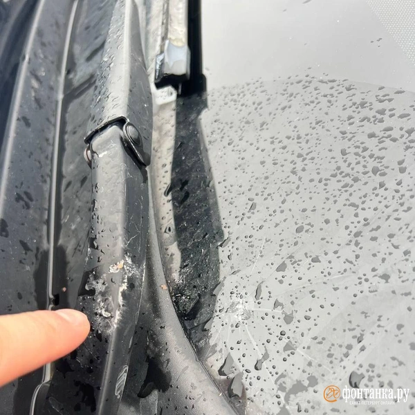 Источник: читатель «Фонтанки»