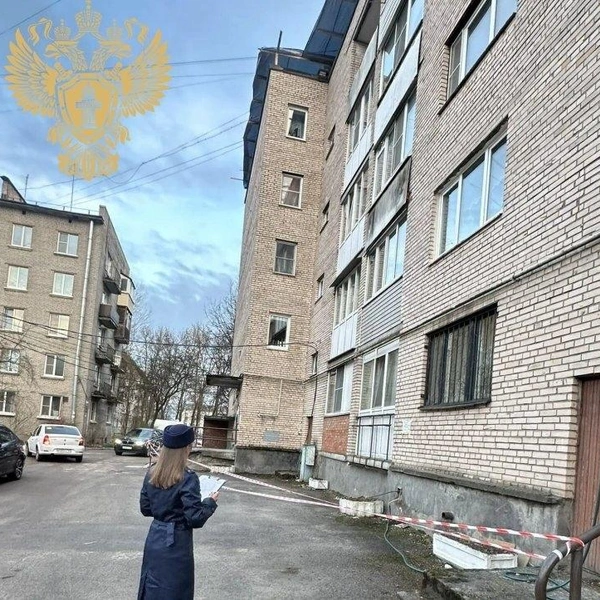 Источник: Прокуратура Ленобласти