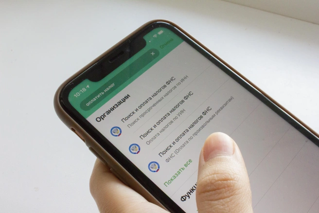 Нововведения прежде всего коснутся задолженностей, указанных в налоговой декларации | Источник: Дарья Селенская / Городские медиа