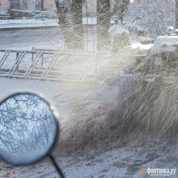 Источник: Михаил Огнев / FONTANKA.RU 