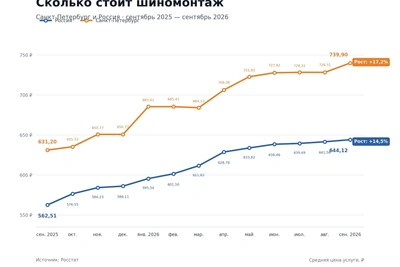 Шиномонтаж в Петербурге обогнал по росту цен страну